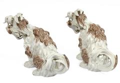 Pair of Dresden Porcelain Bolognese Dogs