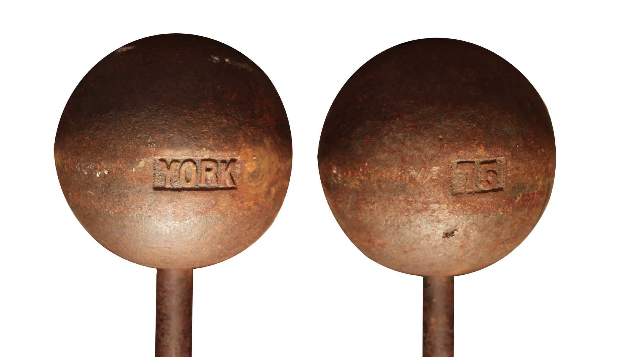 york globe dumbbells