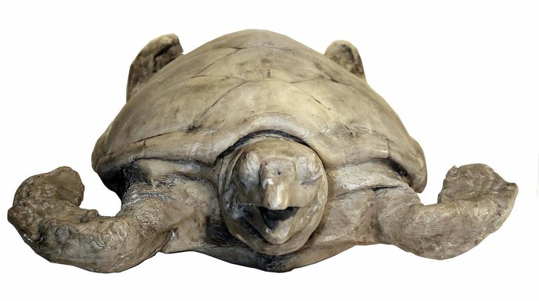 large resin outdoor turtle