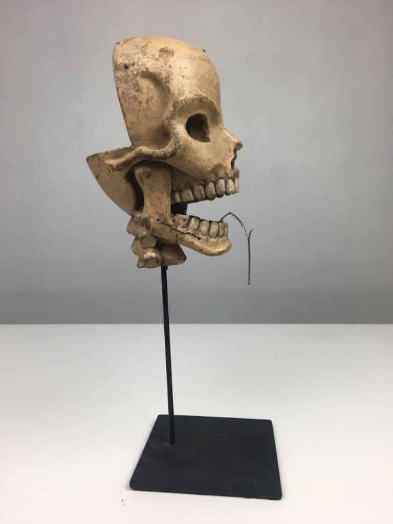 Vintage articulated skull on stand.