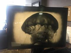 Rocky Schenck Getönte Silbergelatine Fotodruck "Qualle"