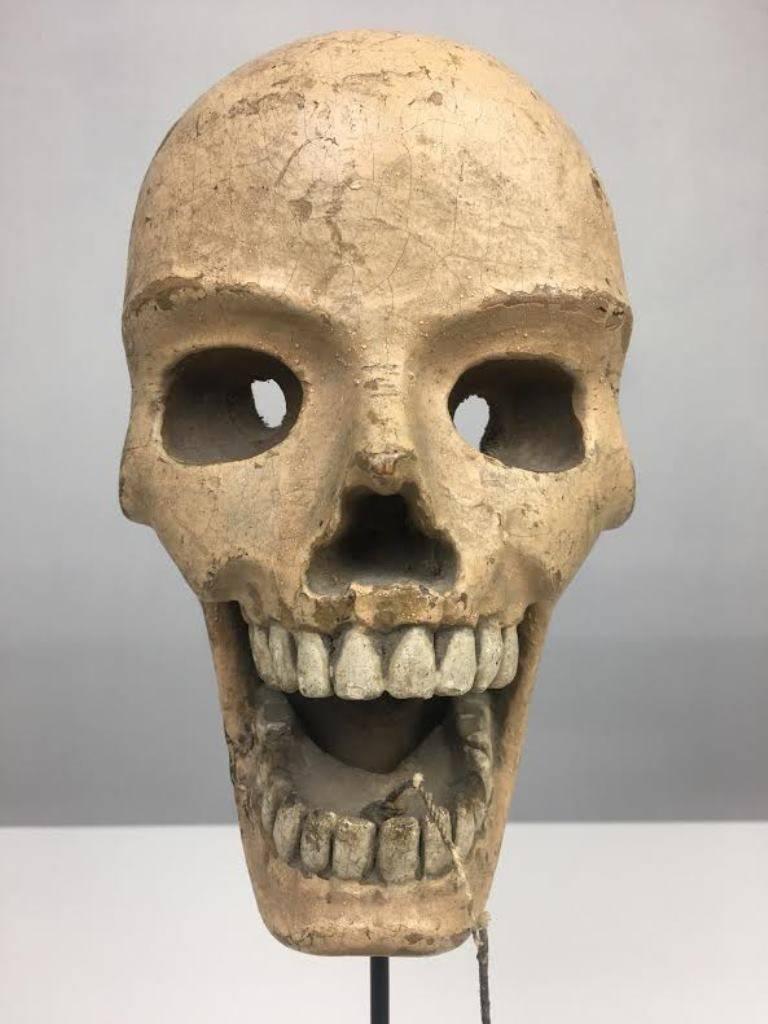 Carved Vintage Articulated Skull