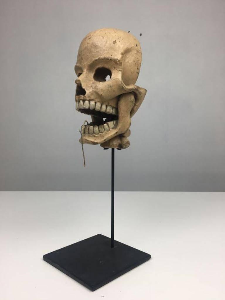 19th Century Vintage Articulated Skull