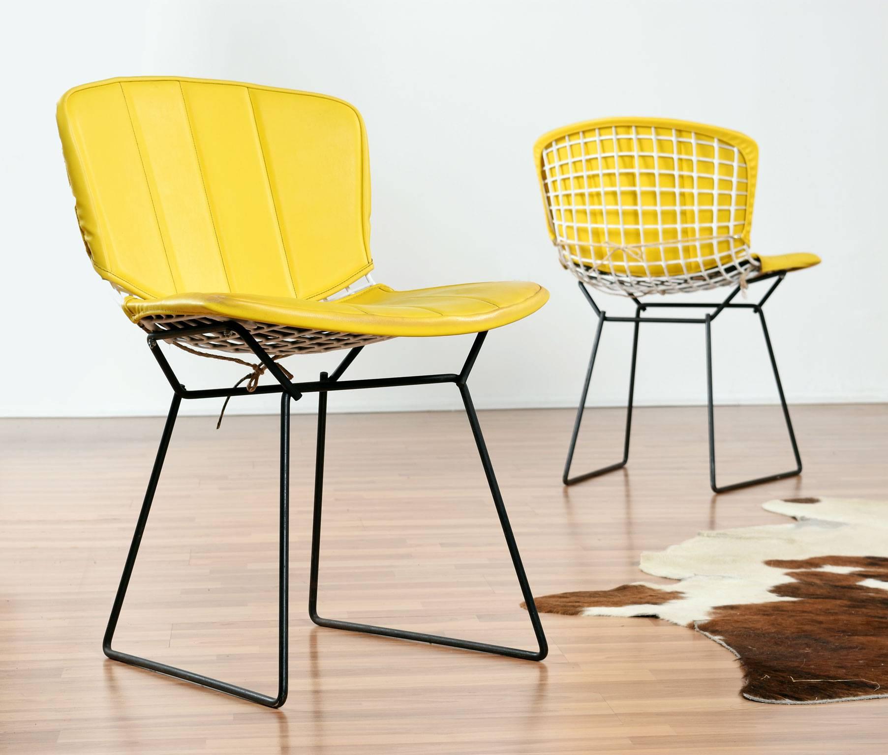 Mid-Century Modern Mid Century Modern Bertoia Knoll Chairs with Yellow Pads