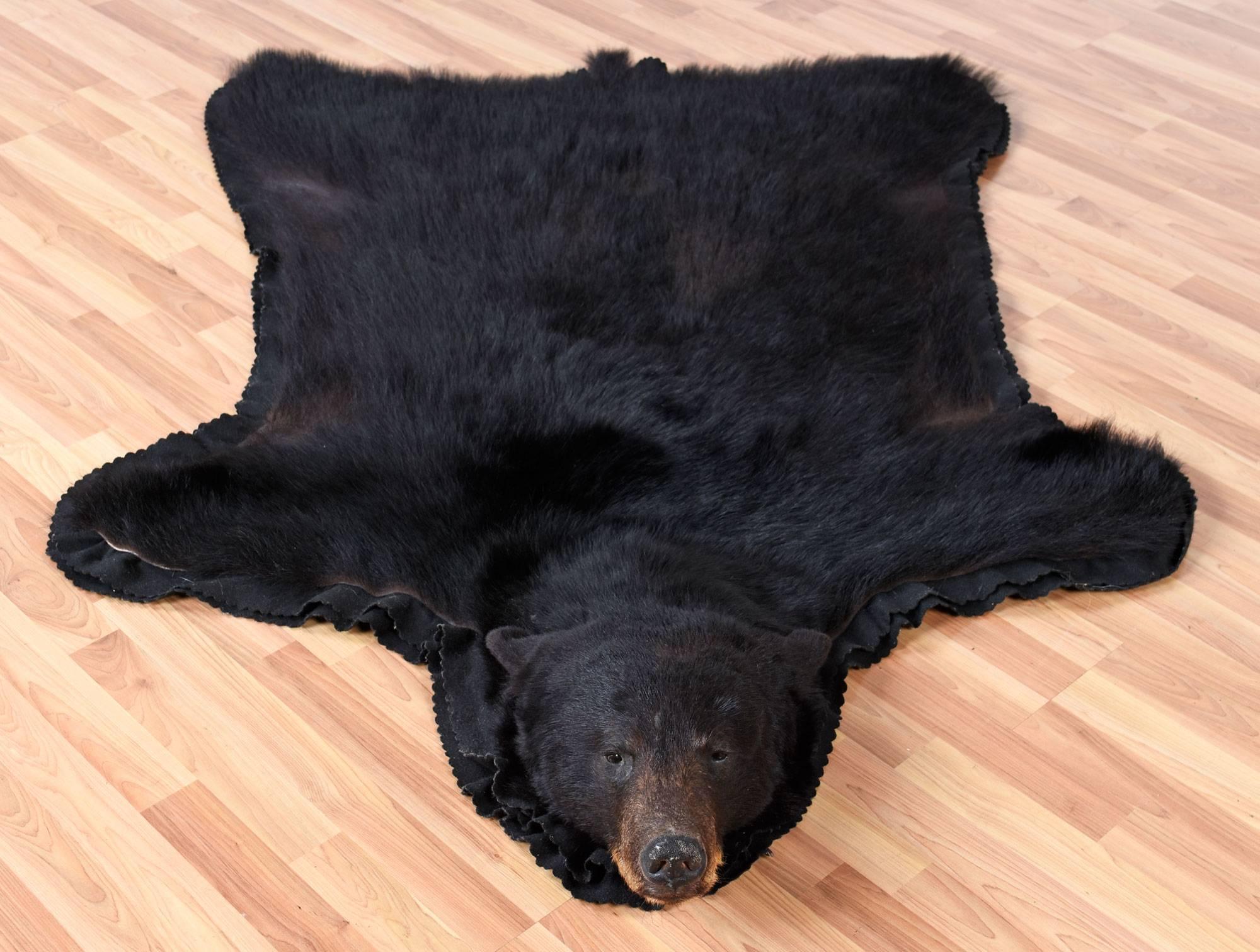 real bear skin blanket
