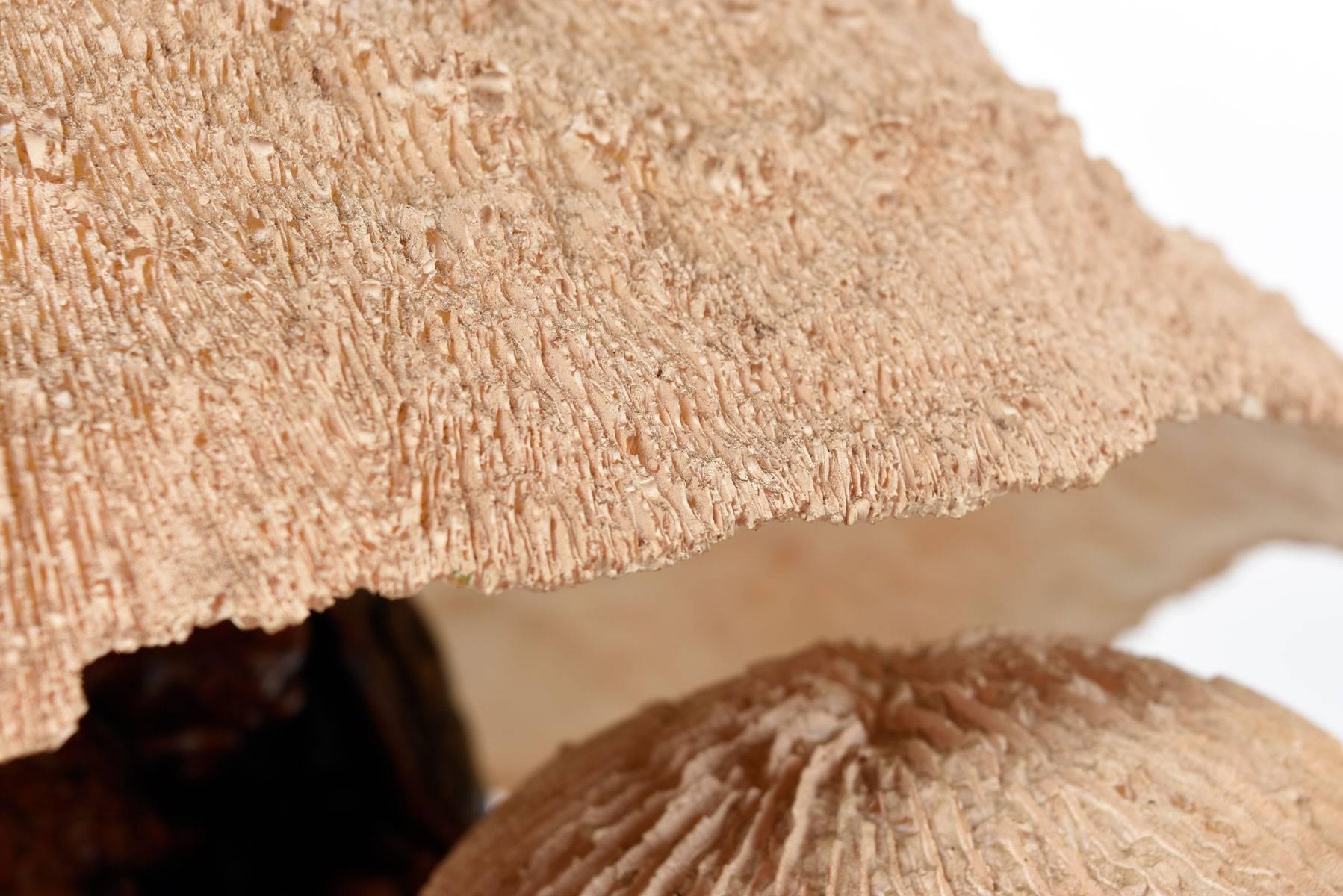 vintage coral mushroom lamp