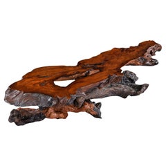 Nakashima Live Edge Redwood Coffee Table with Burl Root Base, 1950s