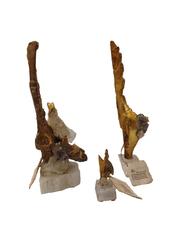 18th Century Gold Leaf Italian Fragment Set