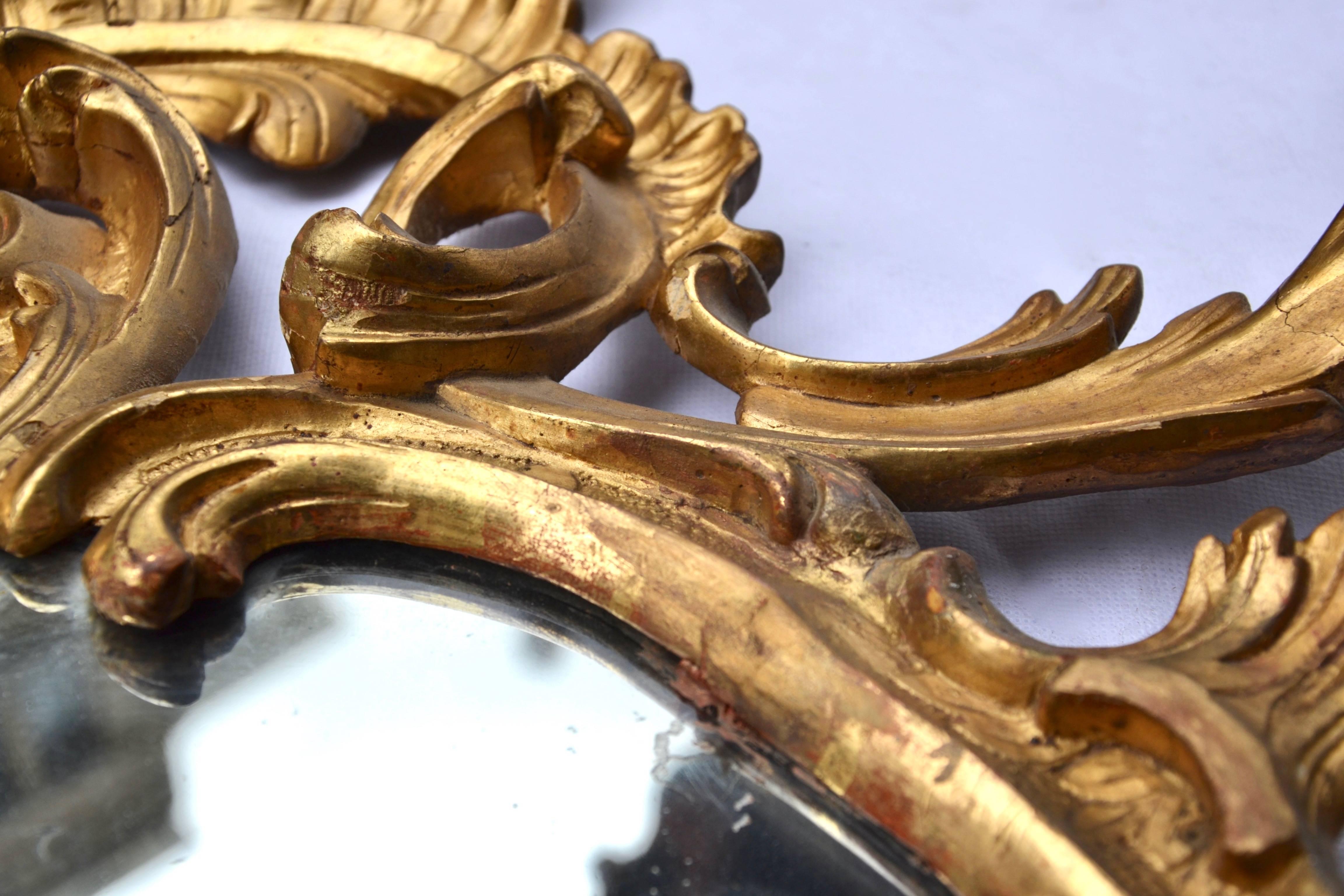 18th Century and Earlier Beautiful Pair of 18th Century Italian Rococo Carved Giltwood Mirrors