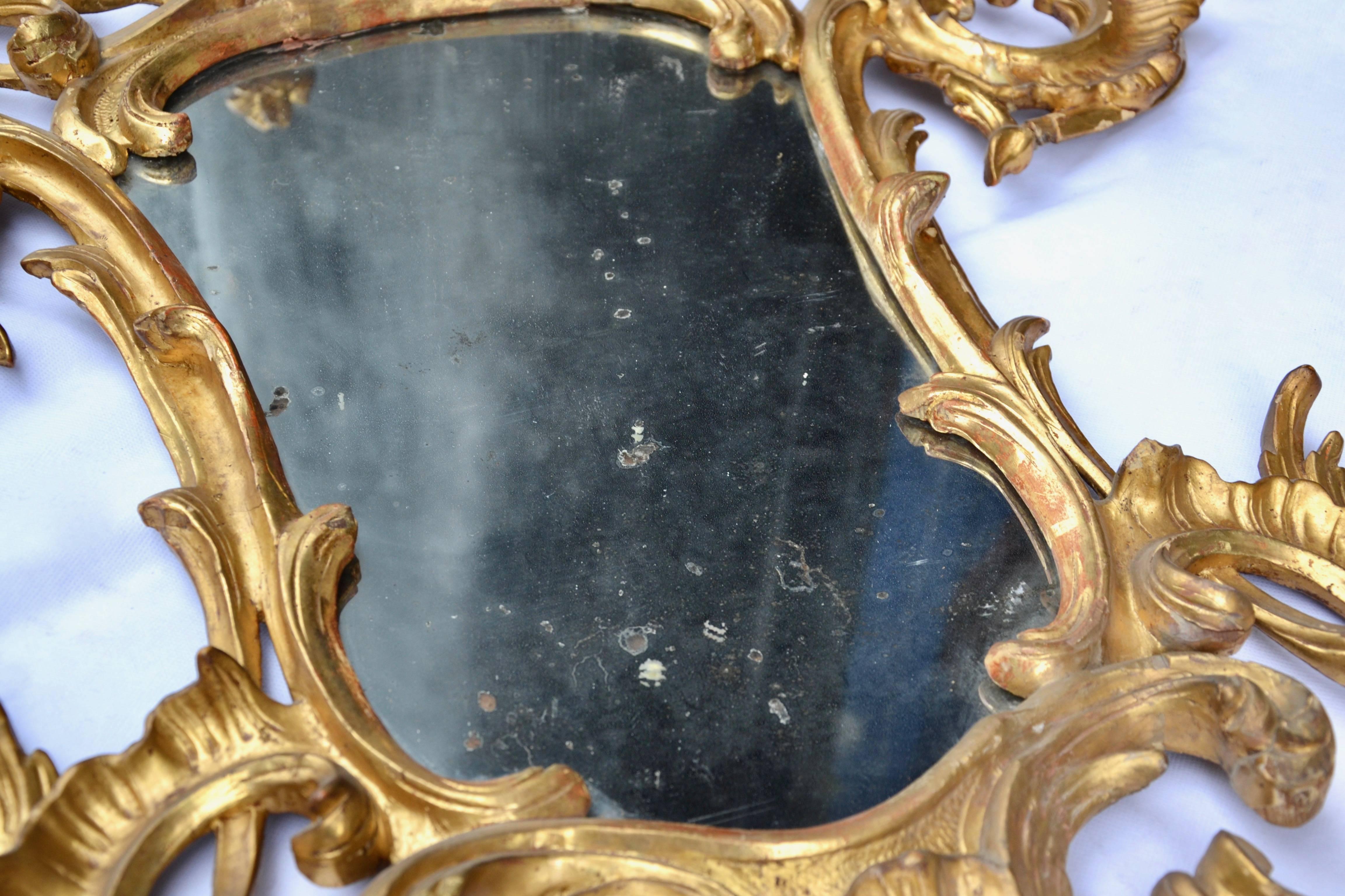 Beautiful Pair of 18th Century Italian Rococo Carved Giltwood Mirrors 4