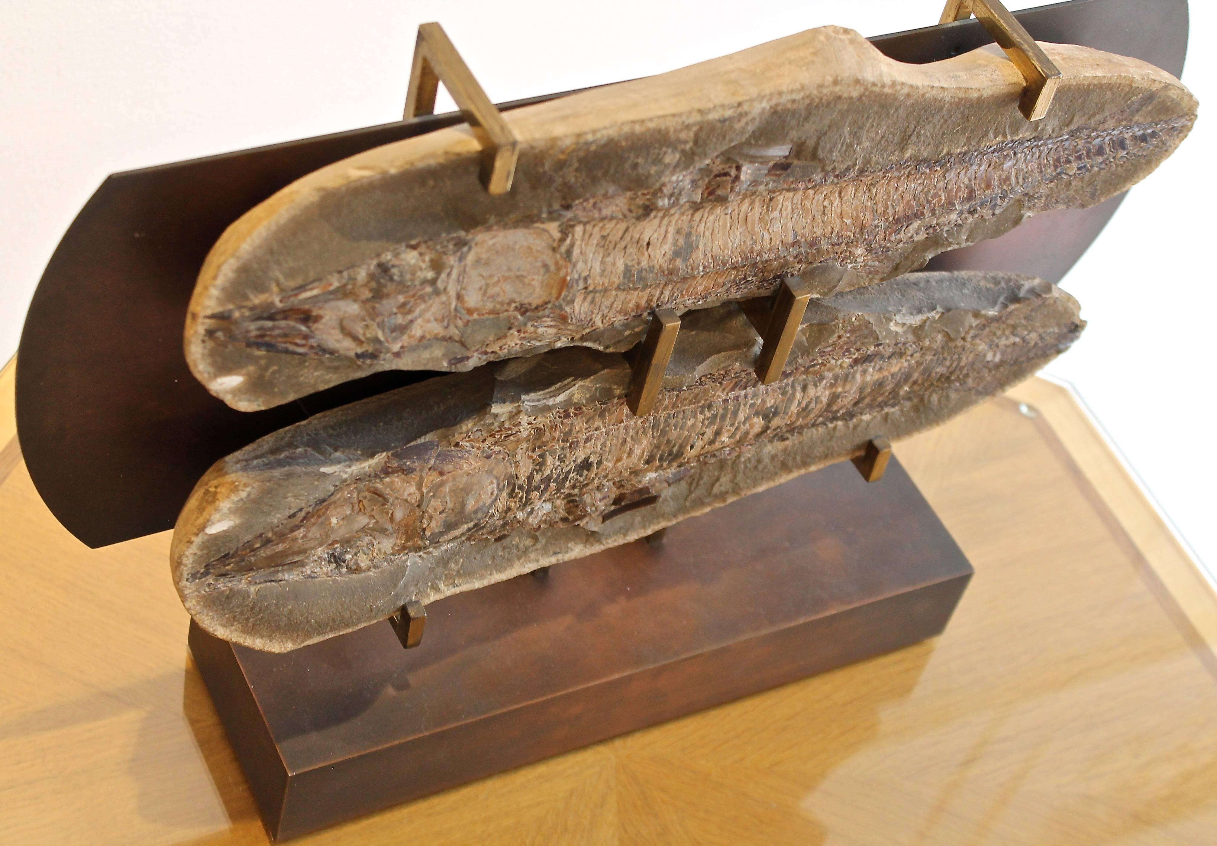 Brutalist Fish Fossil Mounted on Bronze Pedestal