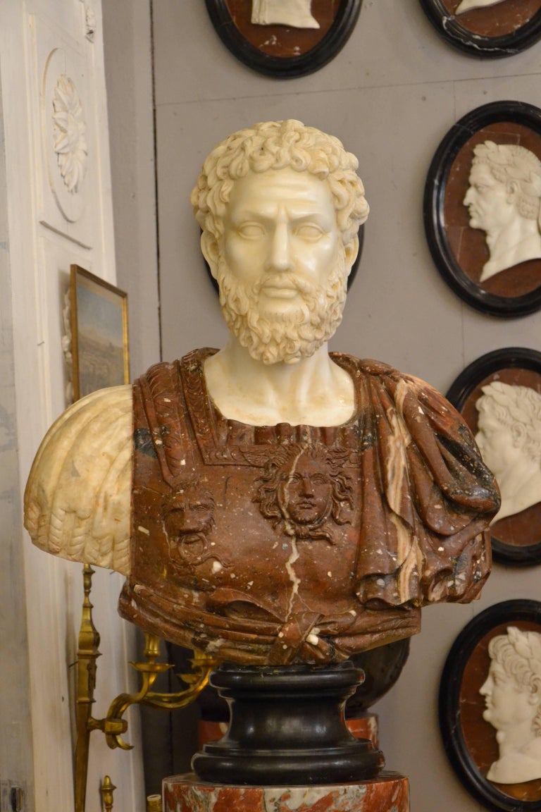 Beautiful Italian Marble Bust at 1stDibs