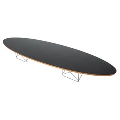 Elliptical Coffee Table by Charles and Ray Eames for Herman Miller, 1960s
