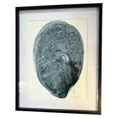 «Métagraphie (coquille Z40)», de Yasuo Mizui, 1983