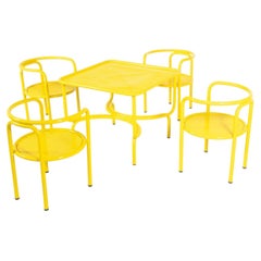 "Locus Solus" Outdoor Garden Set by Gae Aulenti for Poltronova, Italy, 1964