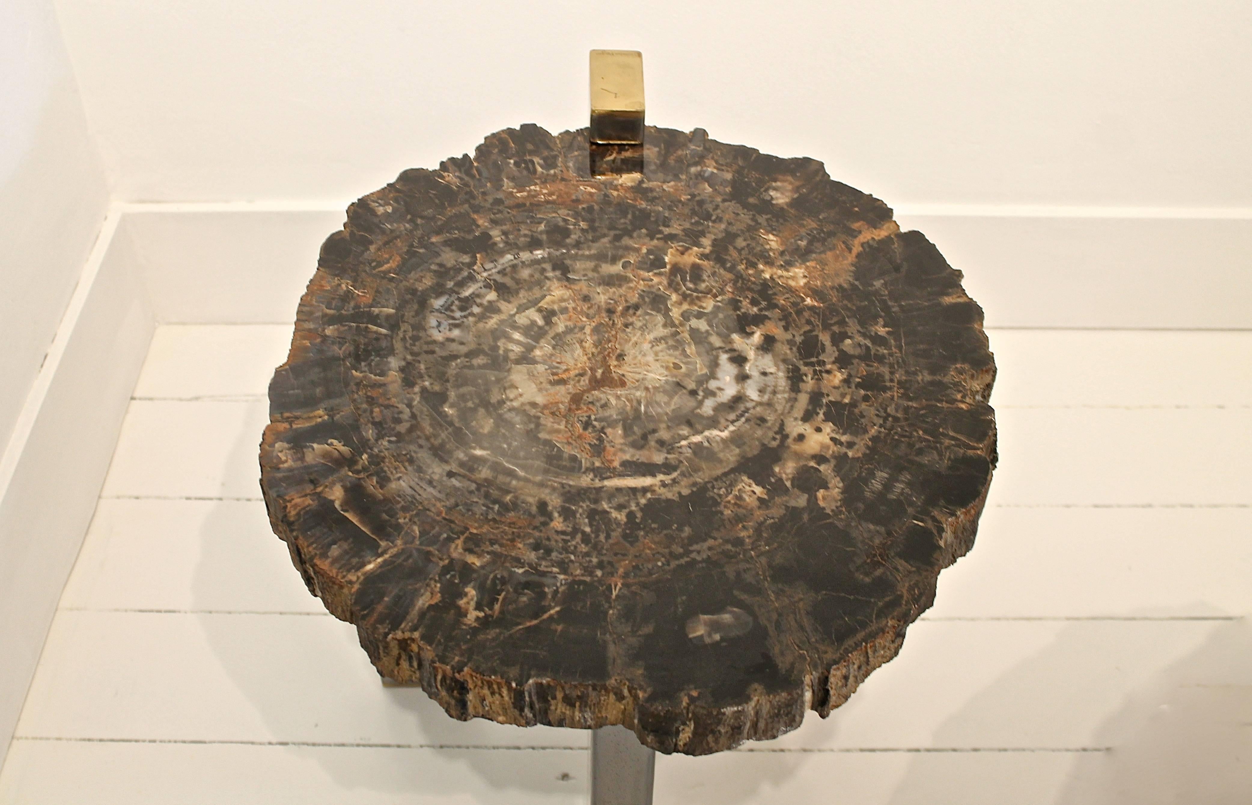 Belgian Pair of 1970s Inspired Side Tables in Petrified Wood by Artist Yann Dessauvages