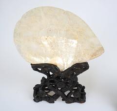 Pair of Chinese Richly Carved Mother-of-Pearl Shells, Hard Wood Stands, Canton