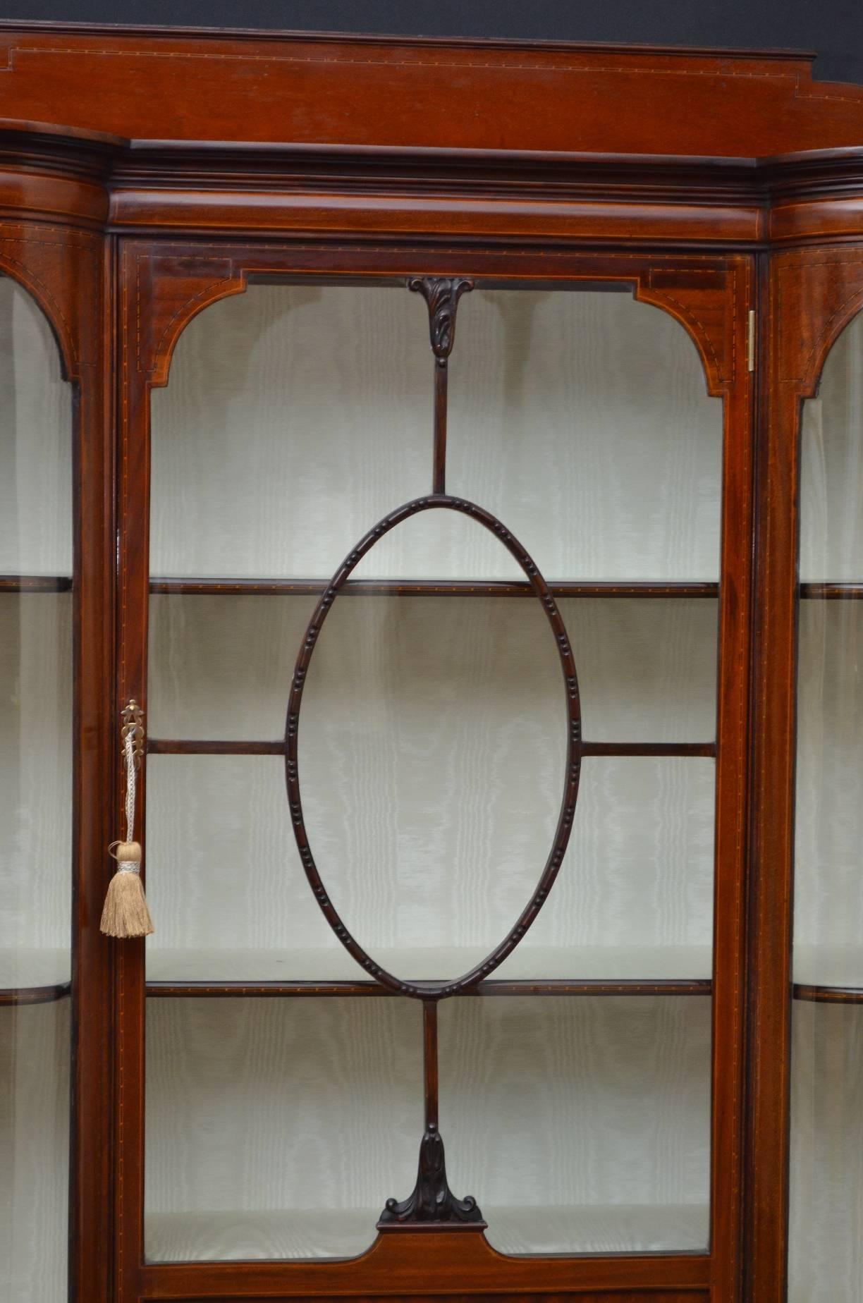 Edwardian Mahogany Display Cabinet, Vitrine In Good Condition In Whaley Bridge, GB
