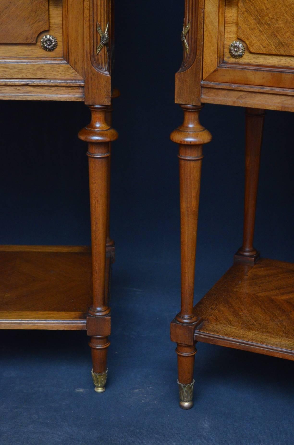 Late 19th Century Continental Pair of Bedside Cabinets