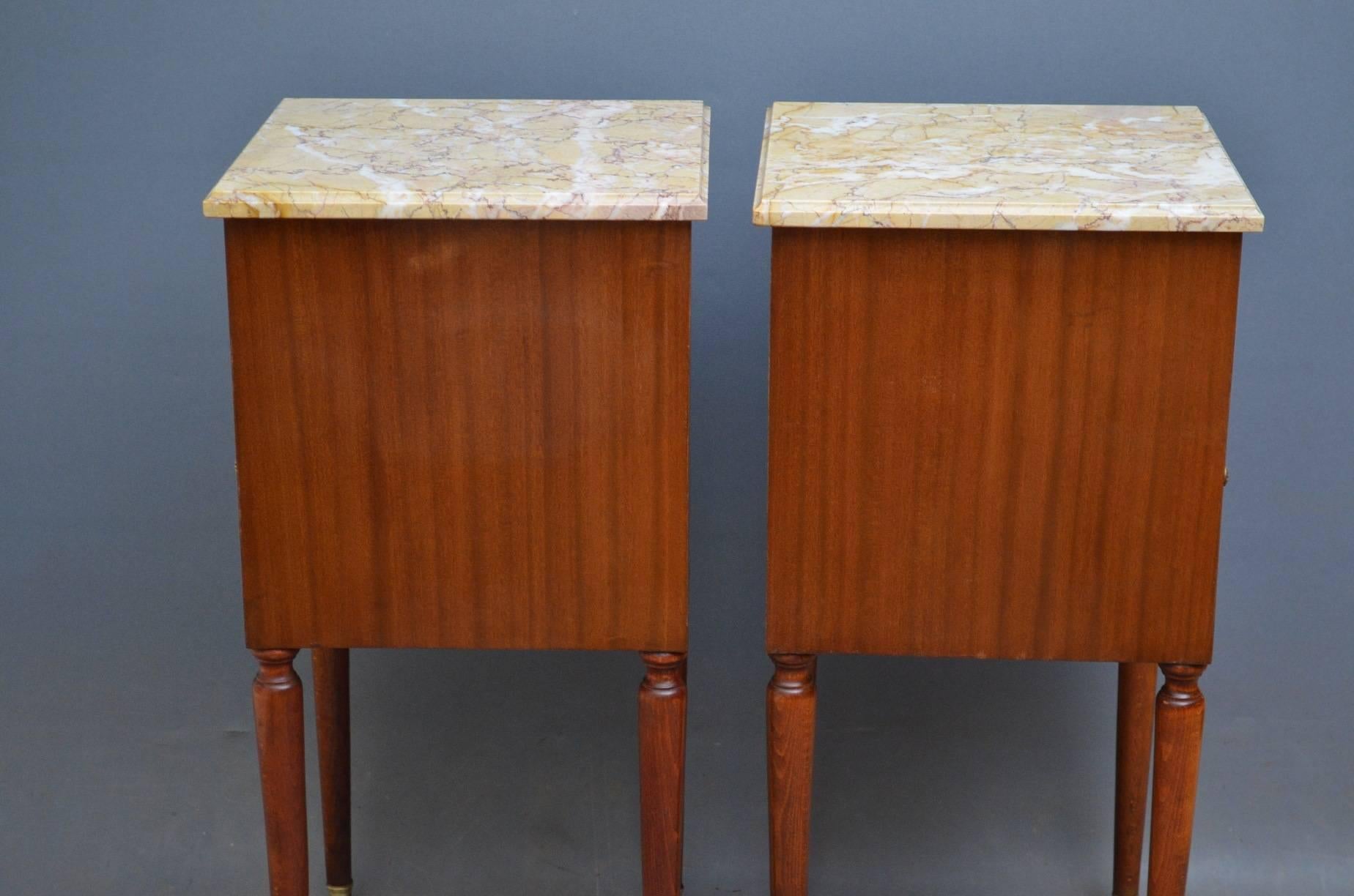 Late 19th Century Fine Quality Pair of Bedside Cabinets in Mahogany