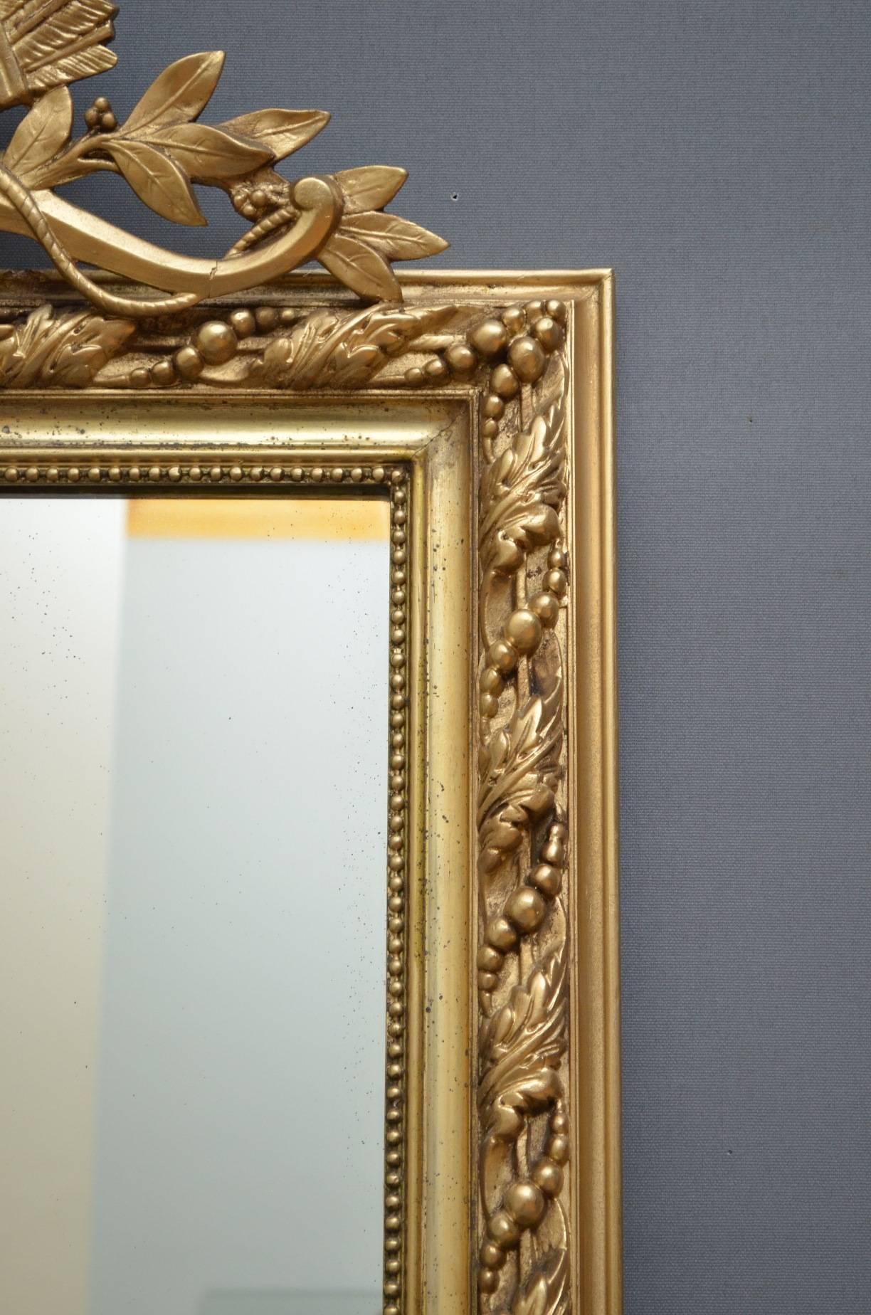 French Attractive 19th Century Giltwood Mirror