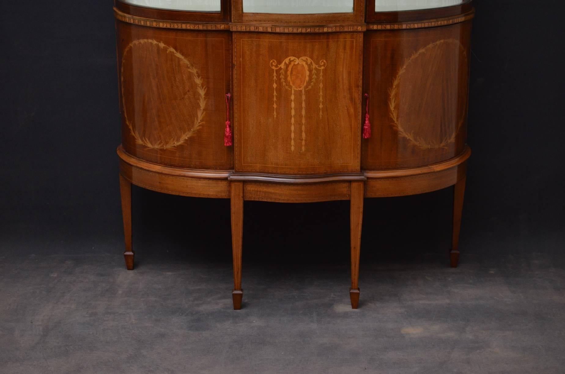 Edwardian Mahogany and Inlaid Display Cabinet 4