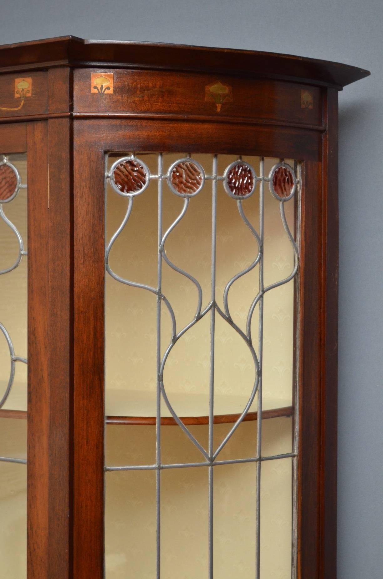 Early 20th Century Art Nouveau Display Cabinet