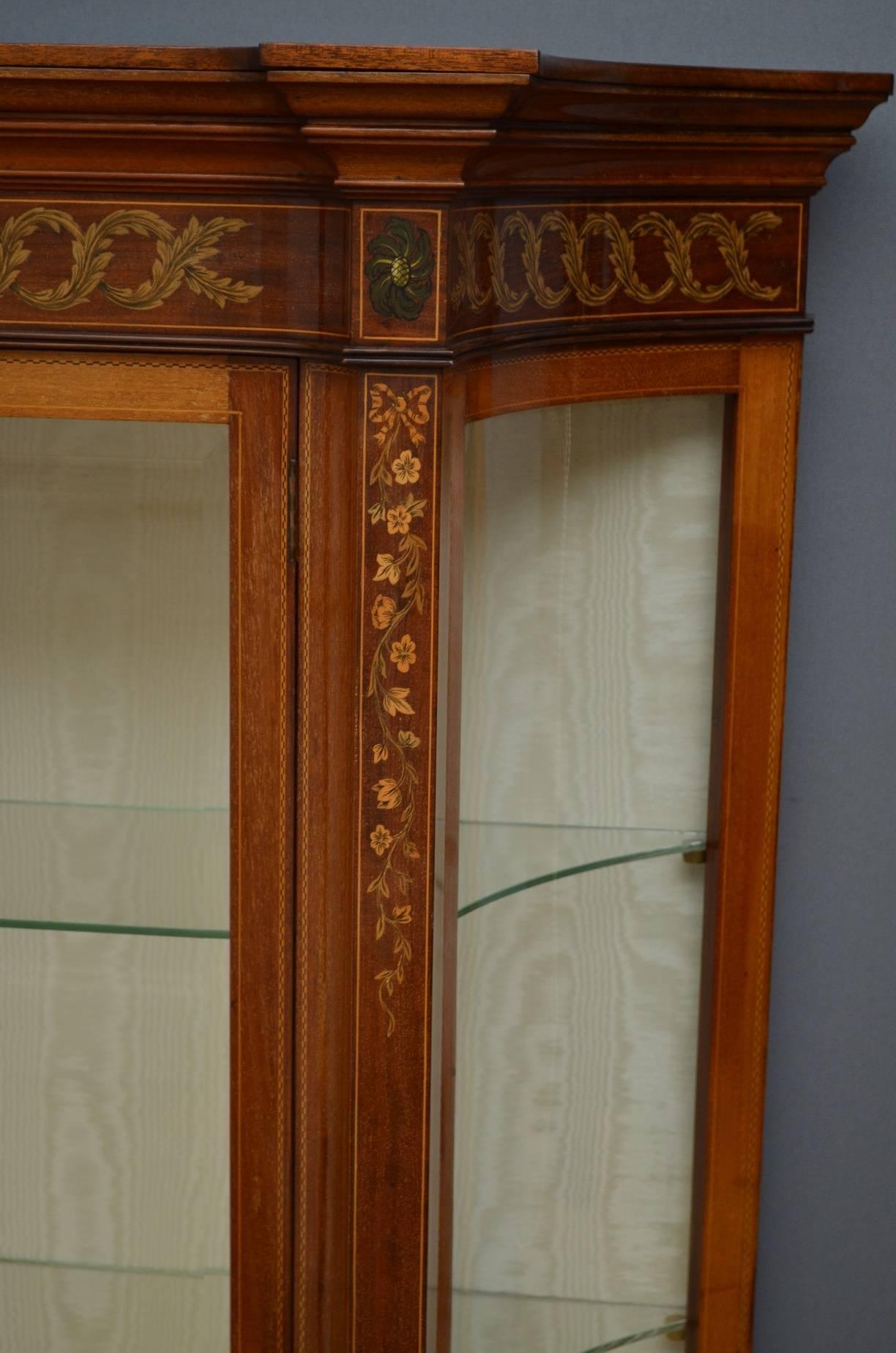 Early 20th Century Edwardian Mahogany Low Display Cabinet