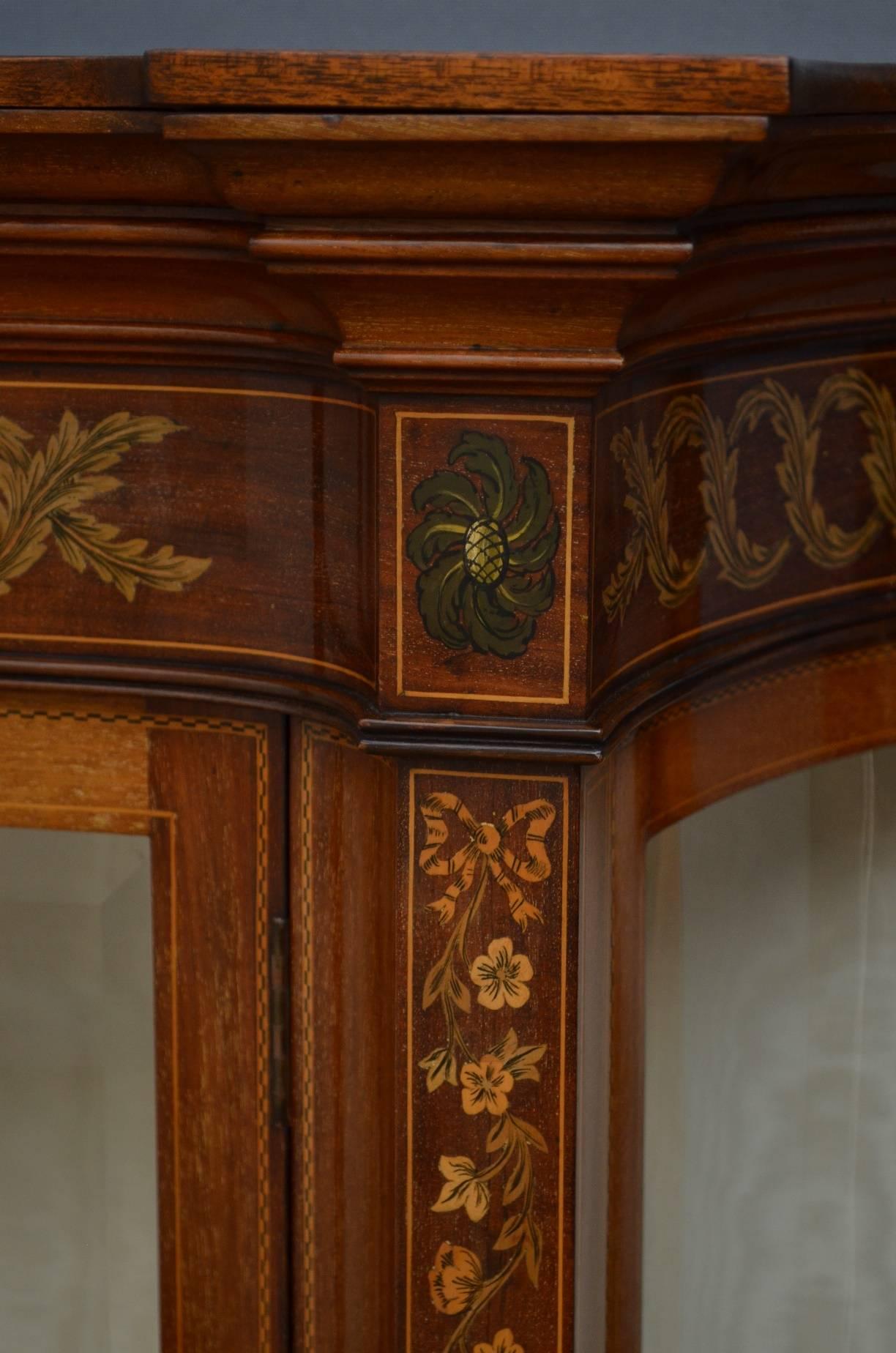 Edwardian Mahogany Low Display Cabinet 1
