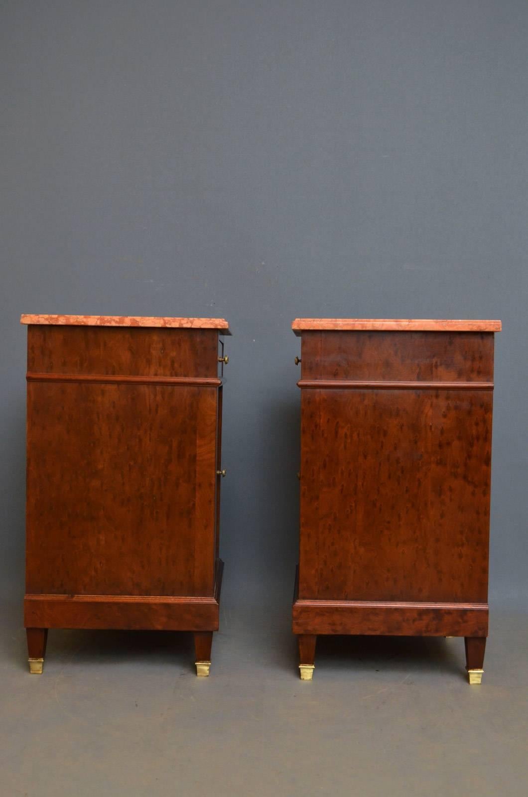 Late 19th Century Pair of Antique Bedside Cabinets