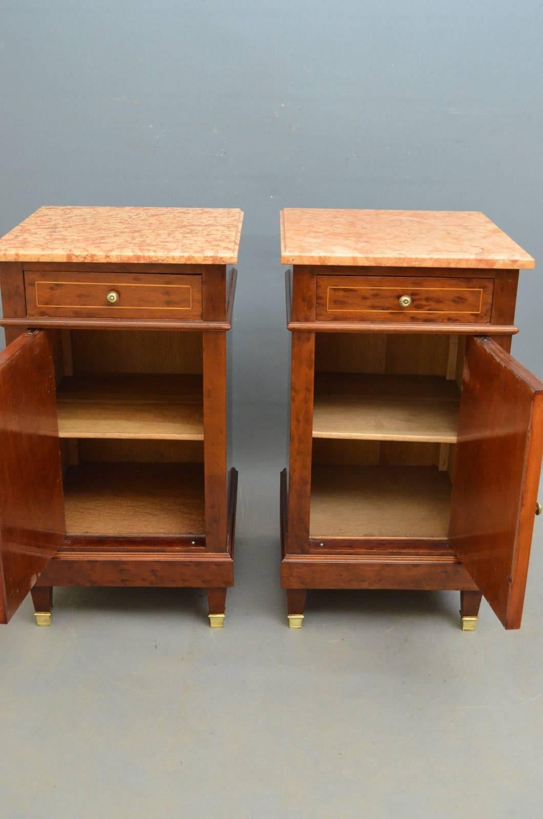 European Pair of Antique Bedside Cabinets