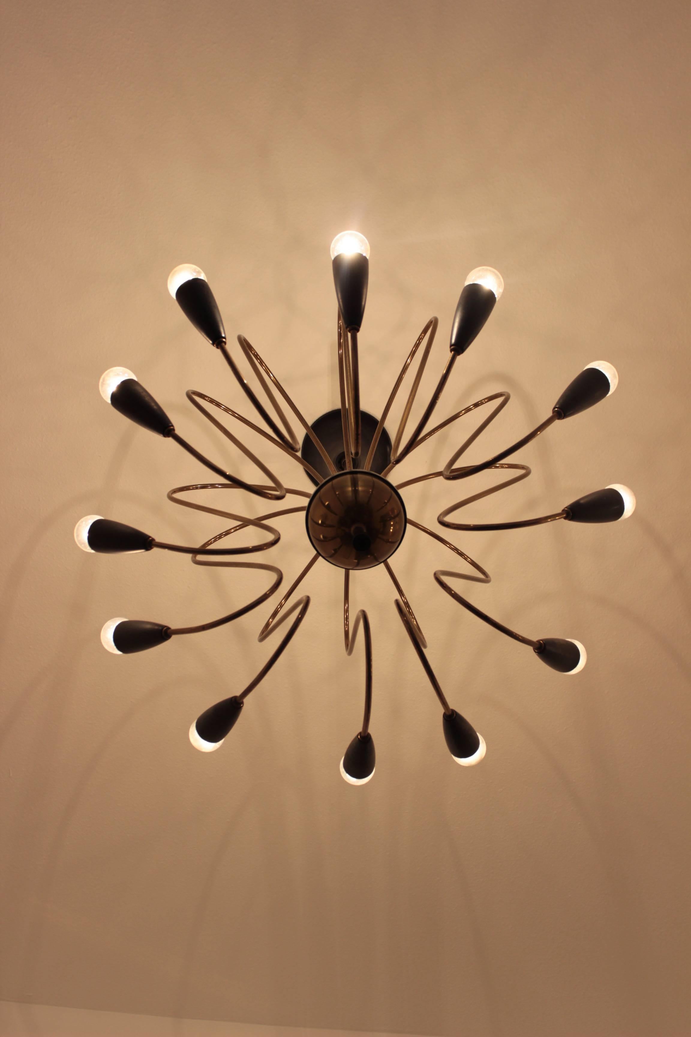 This exceptional chandelier has 12 brass arms and black enamel sockets, the arms come together in a nice round brass body, as u see the chandelier is truly an eyecatcher.