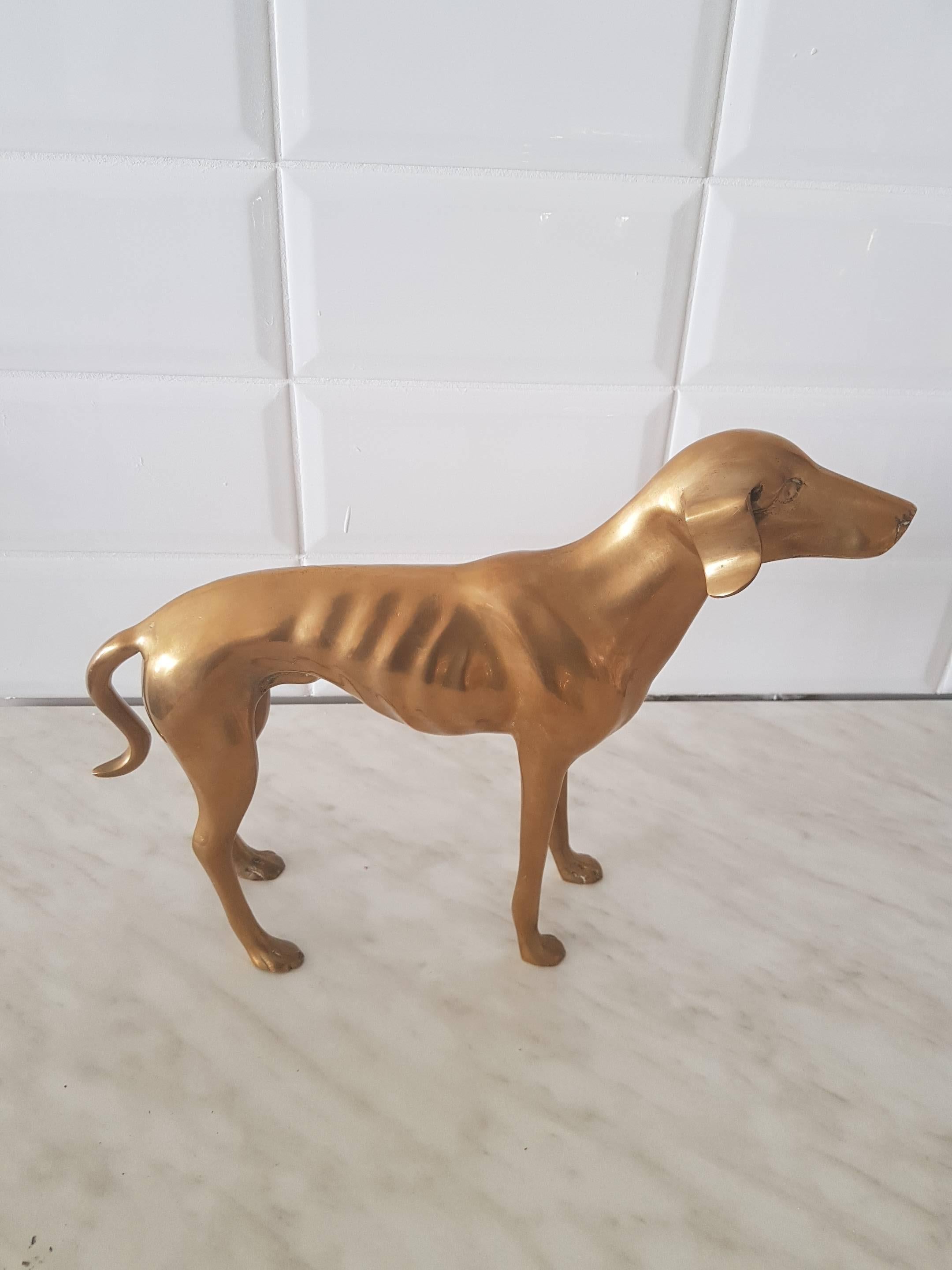 For sale a nice brass Greyhound typically Hollywood Regency style! This item is an true eyecatcher on sidetable, table or just anywhere you would like to put it.
1970-1980 vintage.
Buy it now it comes with free shipping!