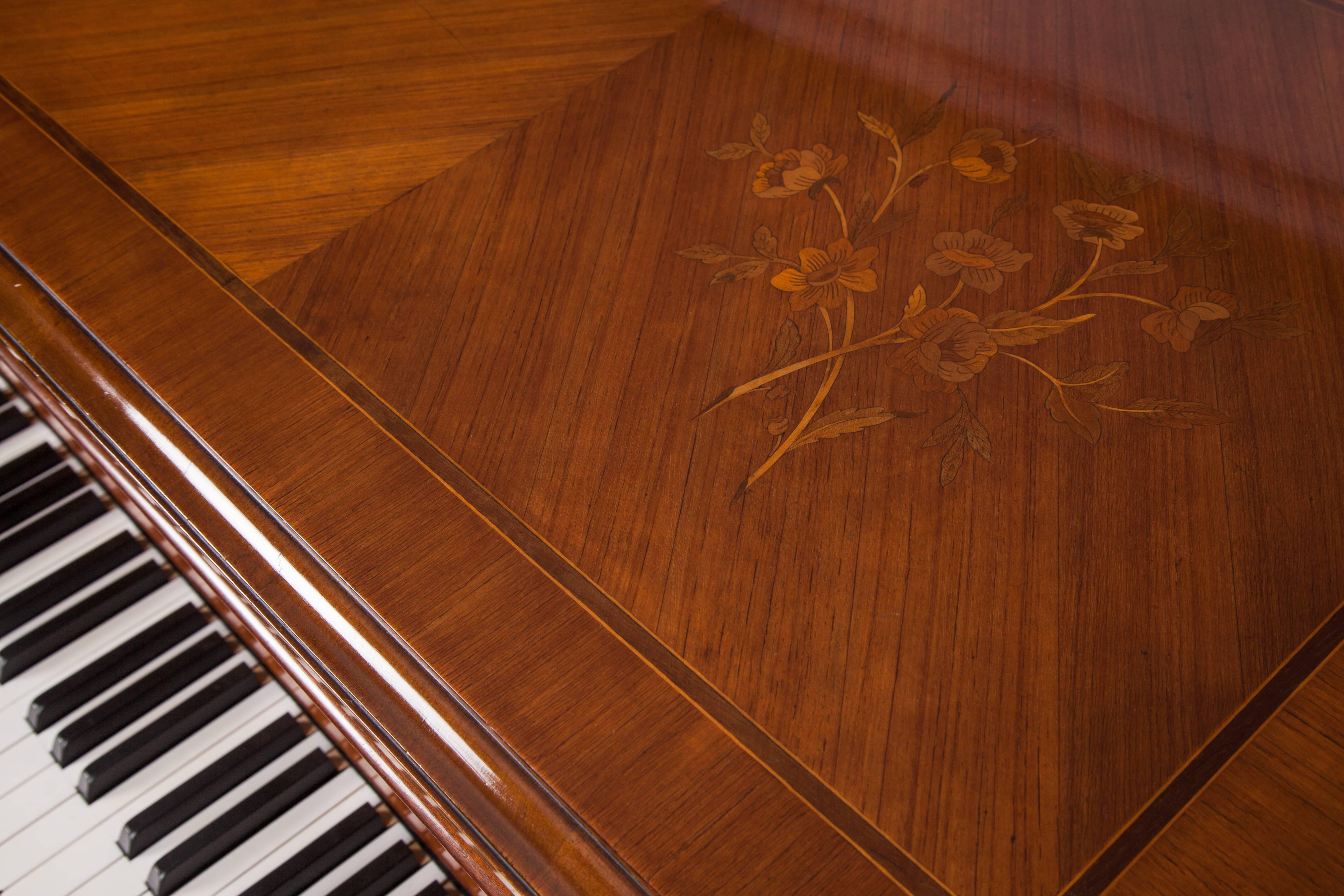 Modele F - "Gronkowski" from Pleyel in Paris, exceptional piano coming on six fluted legs with a hand polished shellack finish and maple, walnut, mahogany, rosewood, amaranth and boxwood inlays on a cherry basis.

The grand piano has