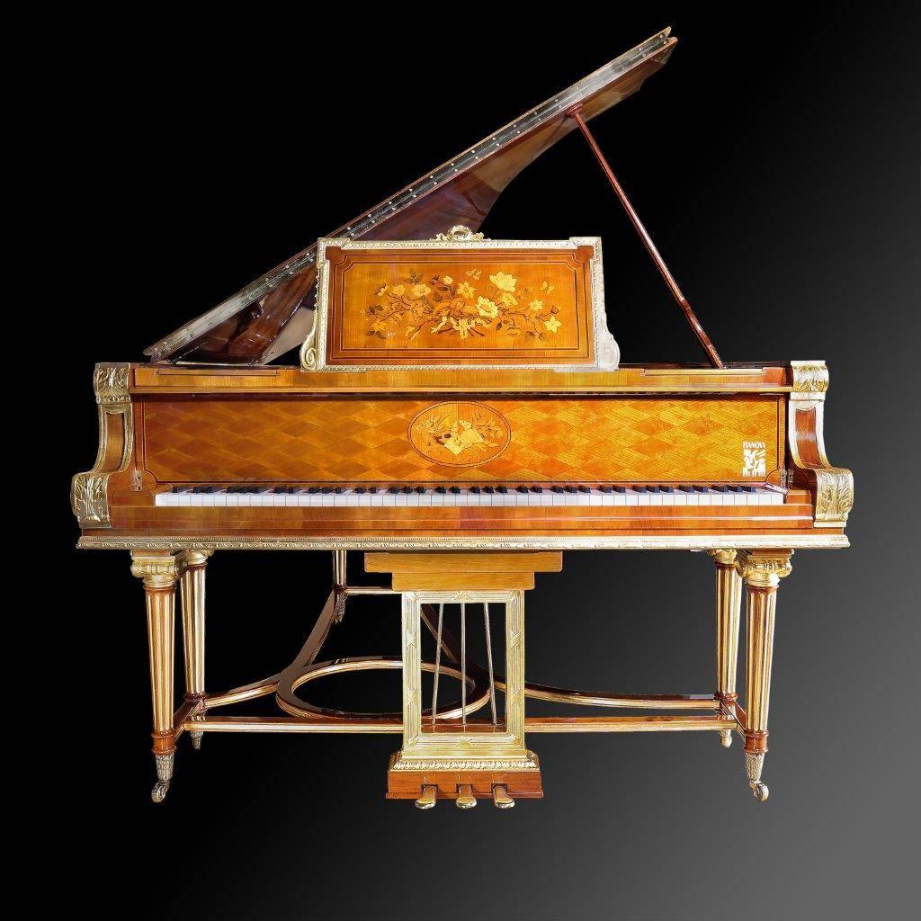 19th Century New German Luxury Grand Piano with 24-Carat Gold Platings Pure Shellack Finish For Sale