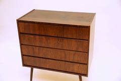 Elegant Rosewood Cabinet with Angled Legs