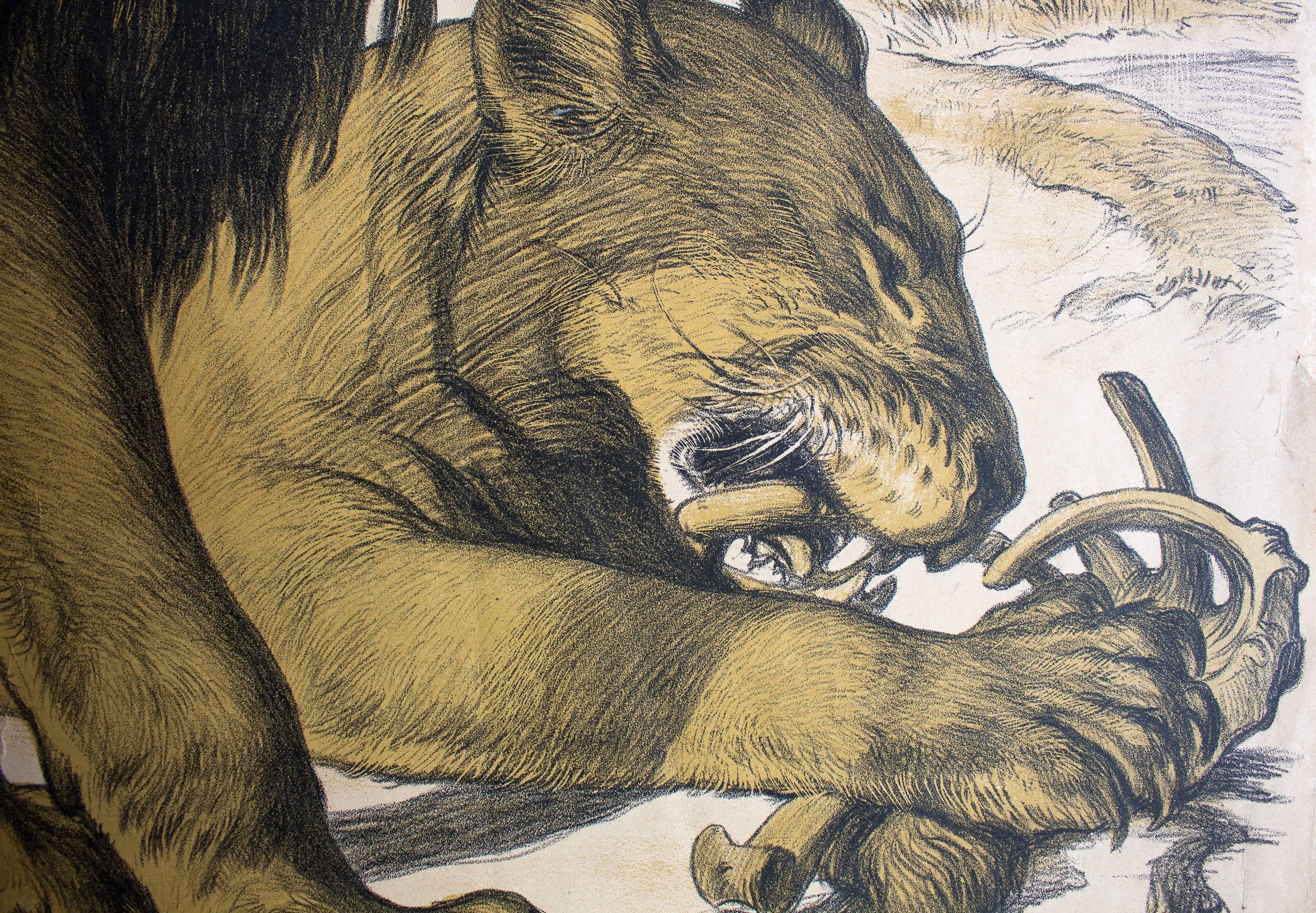 Other Lion 'Felis Leo, ' Engleders Wall Charts, Lith. J. F. Schreiber, 1893 For Sale