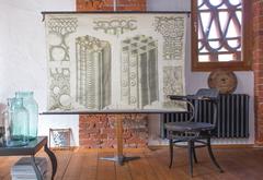 Wall Chart, Schmeils Botanical Charts, Cell Wall, by Dr. H. Meierhofer, 1894