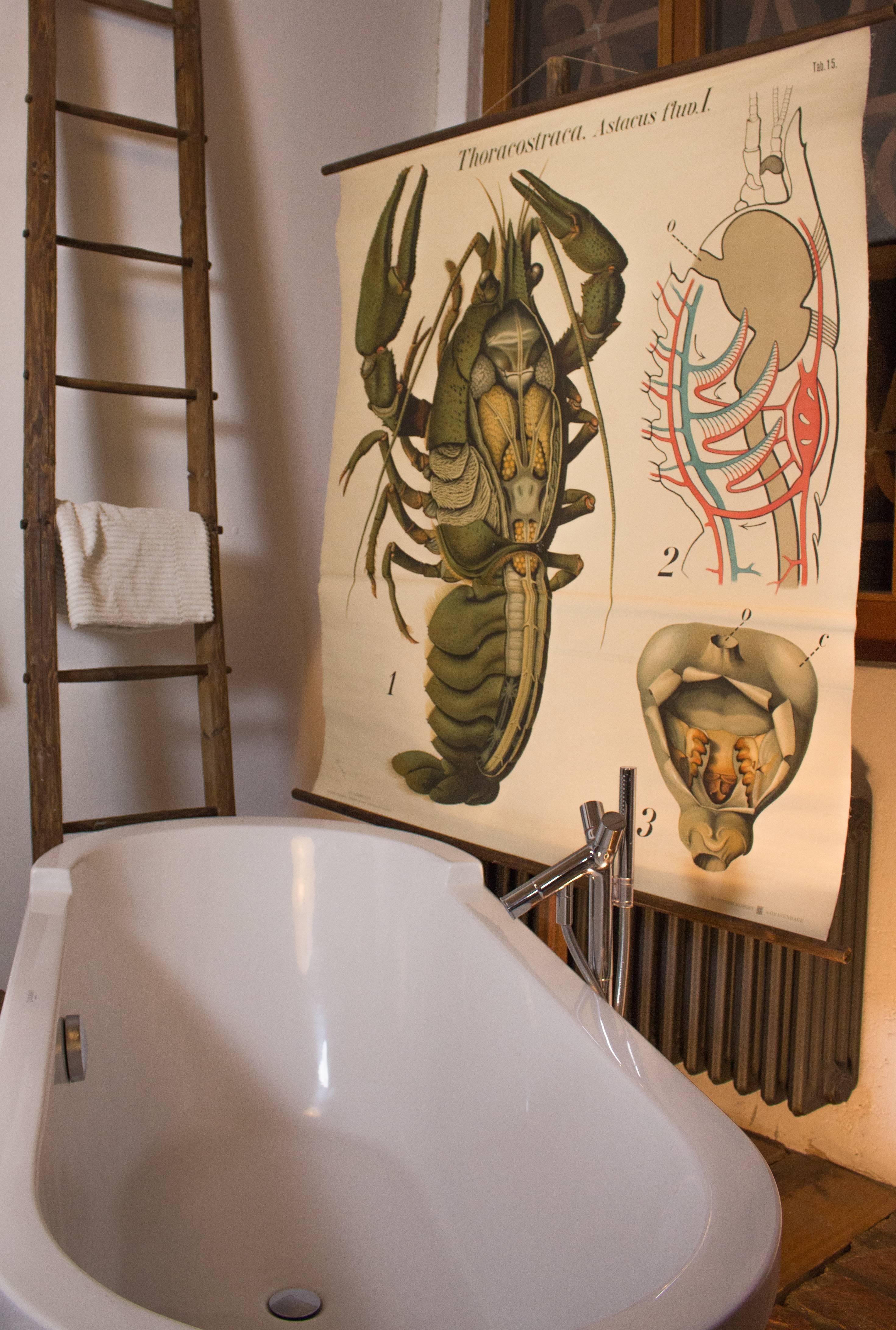 crustacean chart