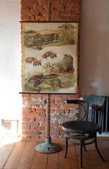 Grasshopper, Mole, Engleders Wall Charts, Lithograph by J. F. Schreiber, 1897