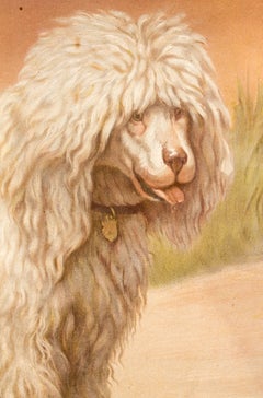 Wall Chart, Dogs, by Th. Breidwiser for Gerold & Sohn, 1879