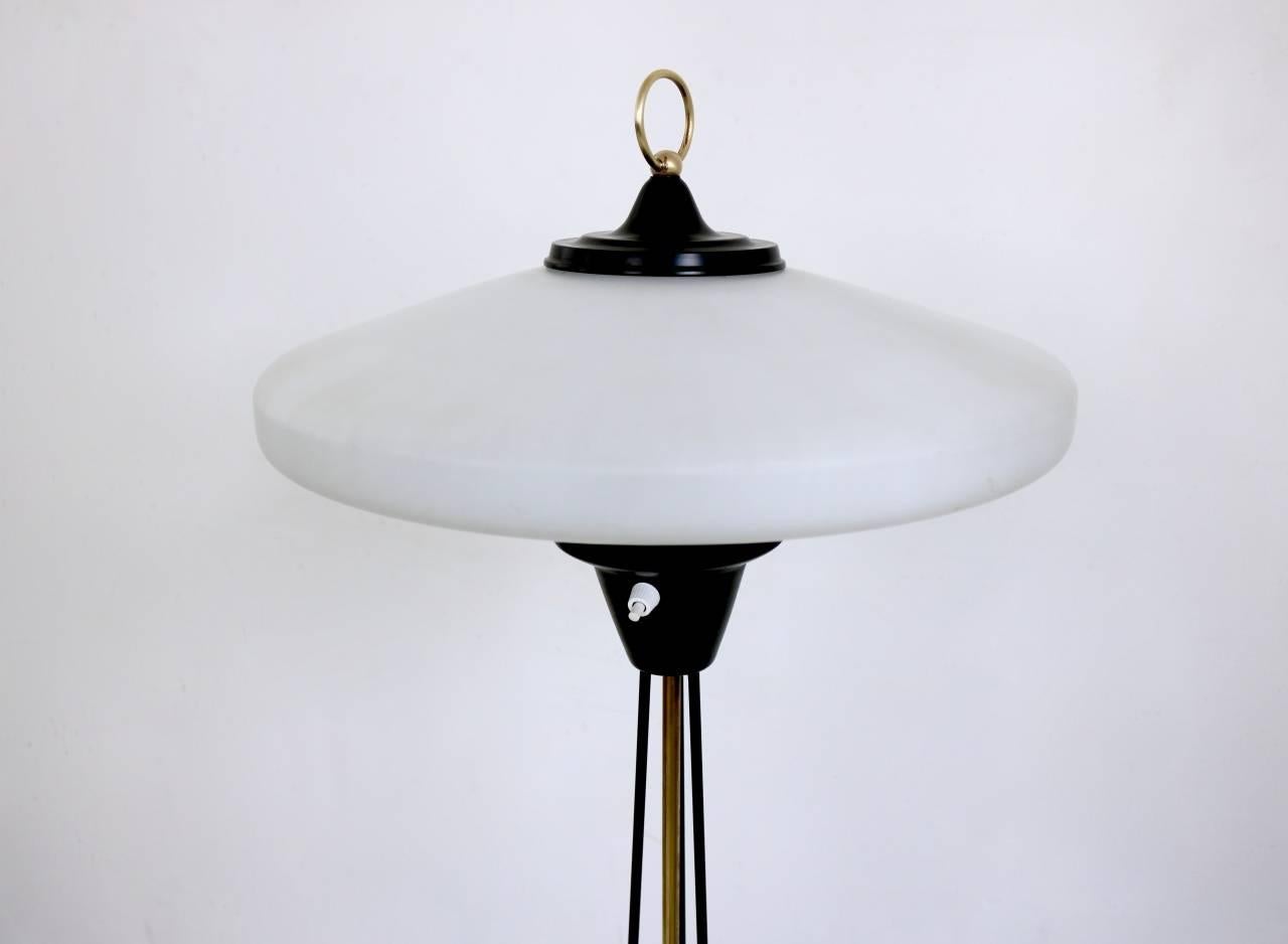 Italian Elegant Floor Lamp with Opaline Glass Shade by Stilnovo, Italy, 1950s