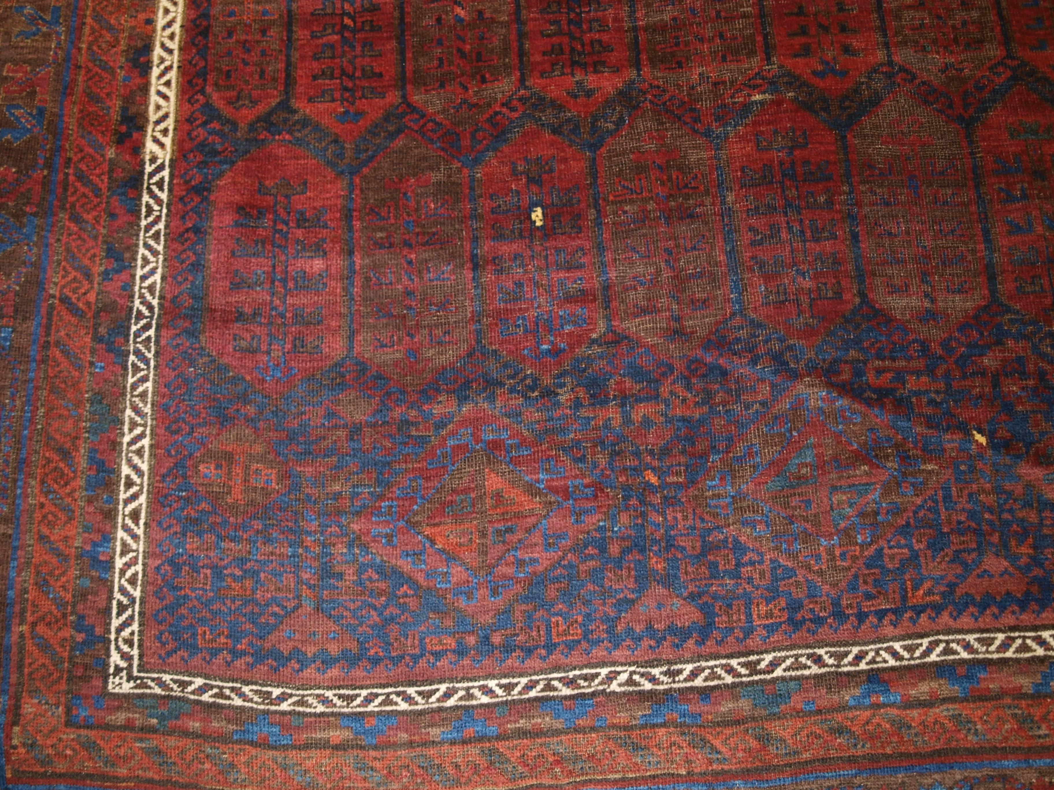 Wool Antique Main Carpet by the Baluch of Western Afghanistan, Shrub Design For Sale
