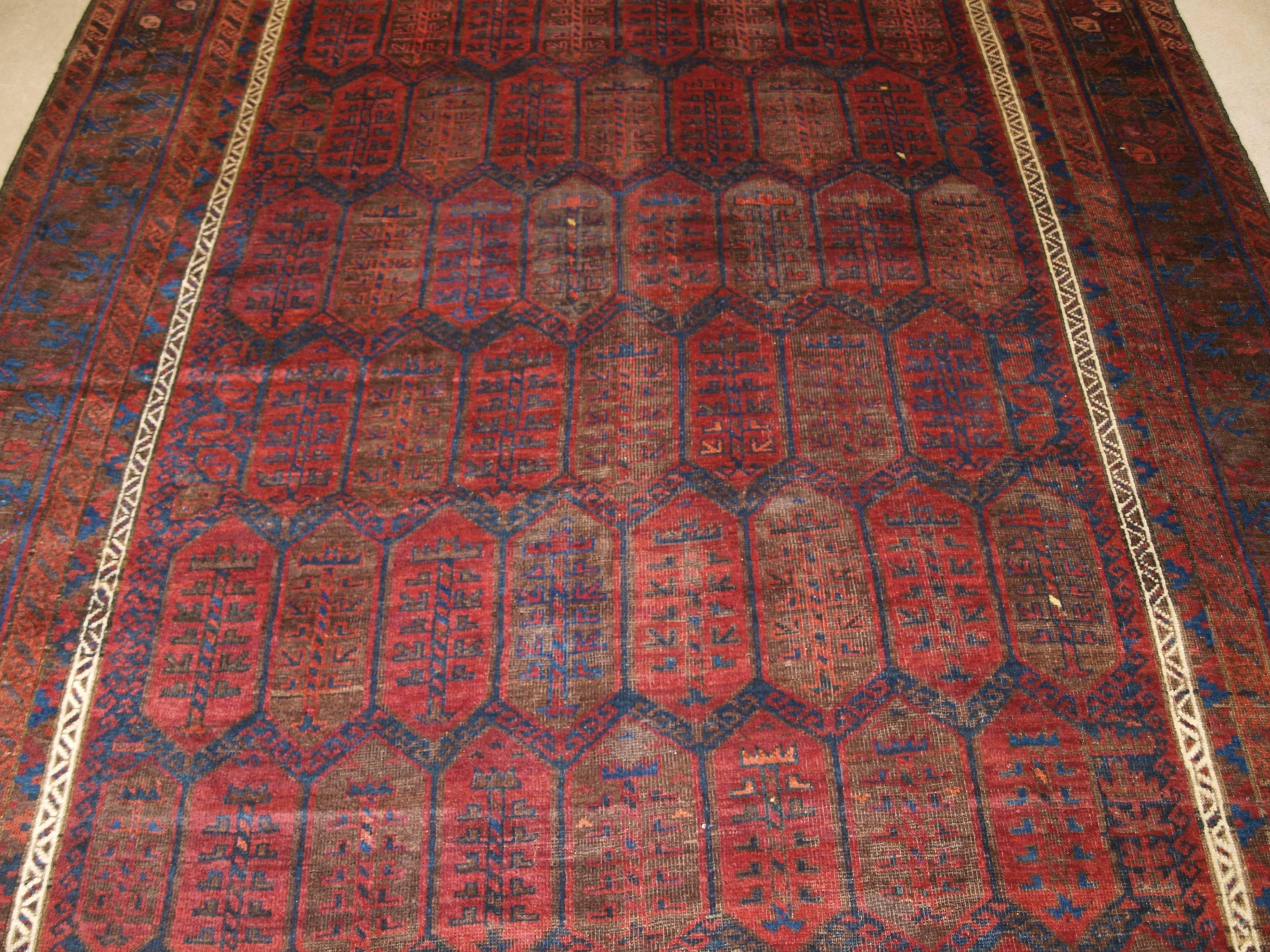 19th Century Antique Main Carpet by the Baluch of Western Afghanistan, Shrub Design For Sale