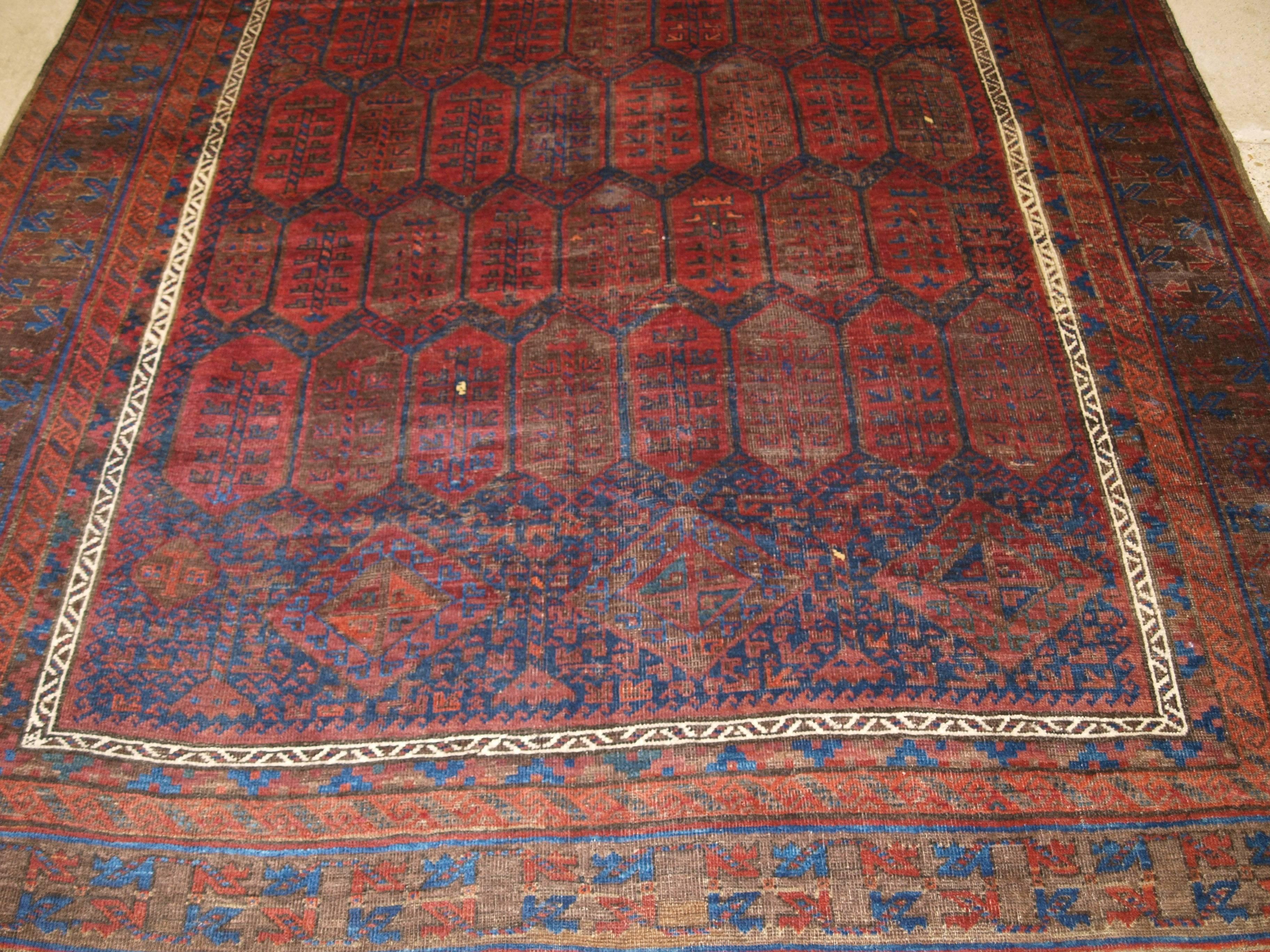 Antique Main Carpet by the Baluch of Western Afghanistan, Shrub Design For Sale 2