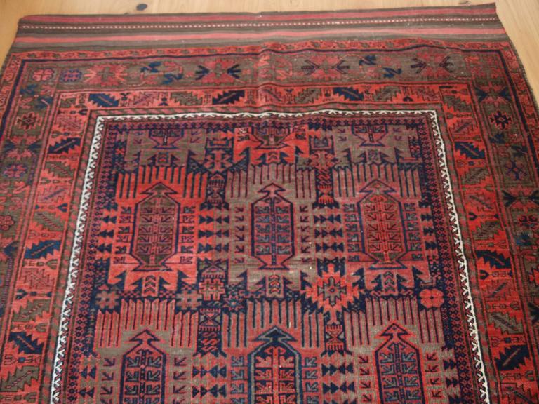 Antique Timuri Baluch Main Carpet with Classic Afghan Timuri Design ...