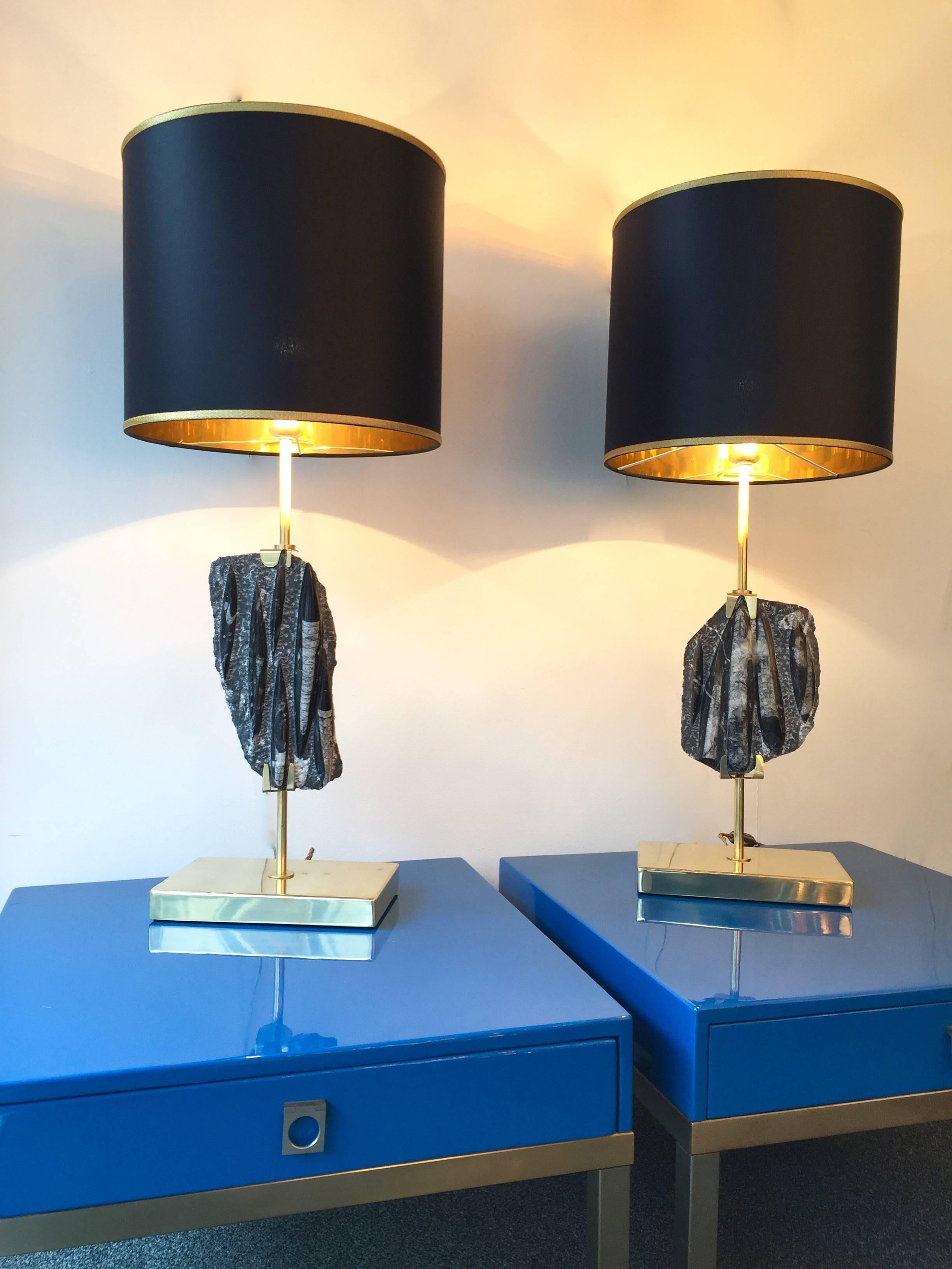 Pair of Lamps Orthoceras Fossil and Brass. Contemporary. Italy. 2016 3
