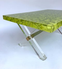 Coffee Table Inclusion Resin by Thomas Brant, France, Contemporary ‘2014’