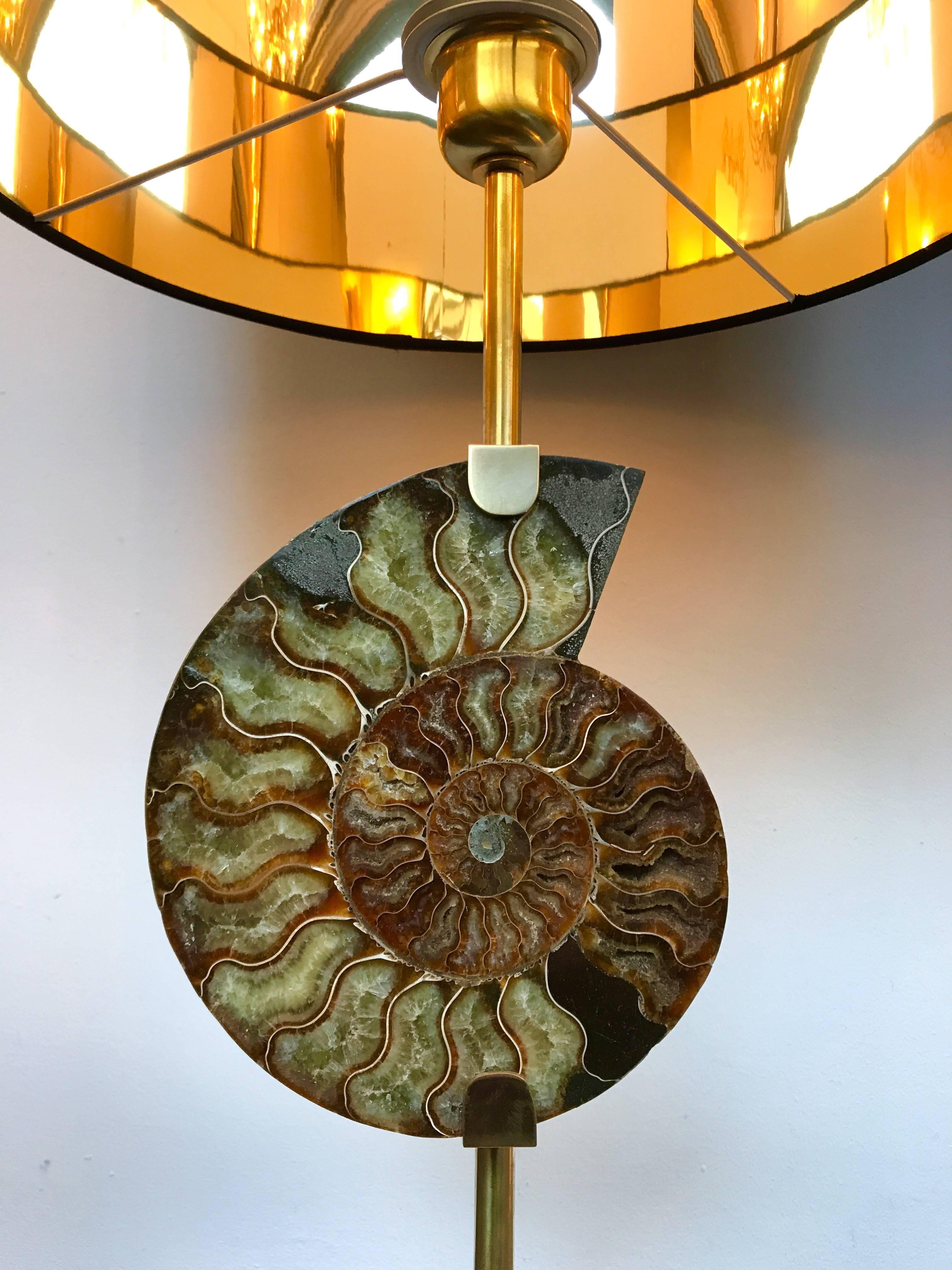 Pair of Lamps Brass Ammonite Fossil, Contemporary, Italy 4