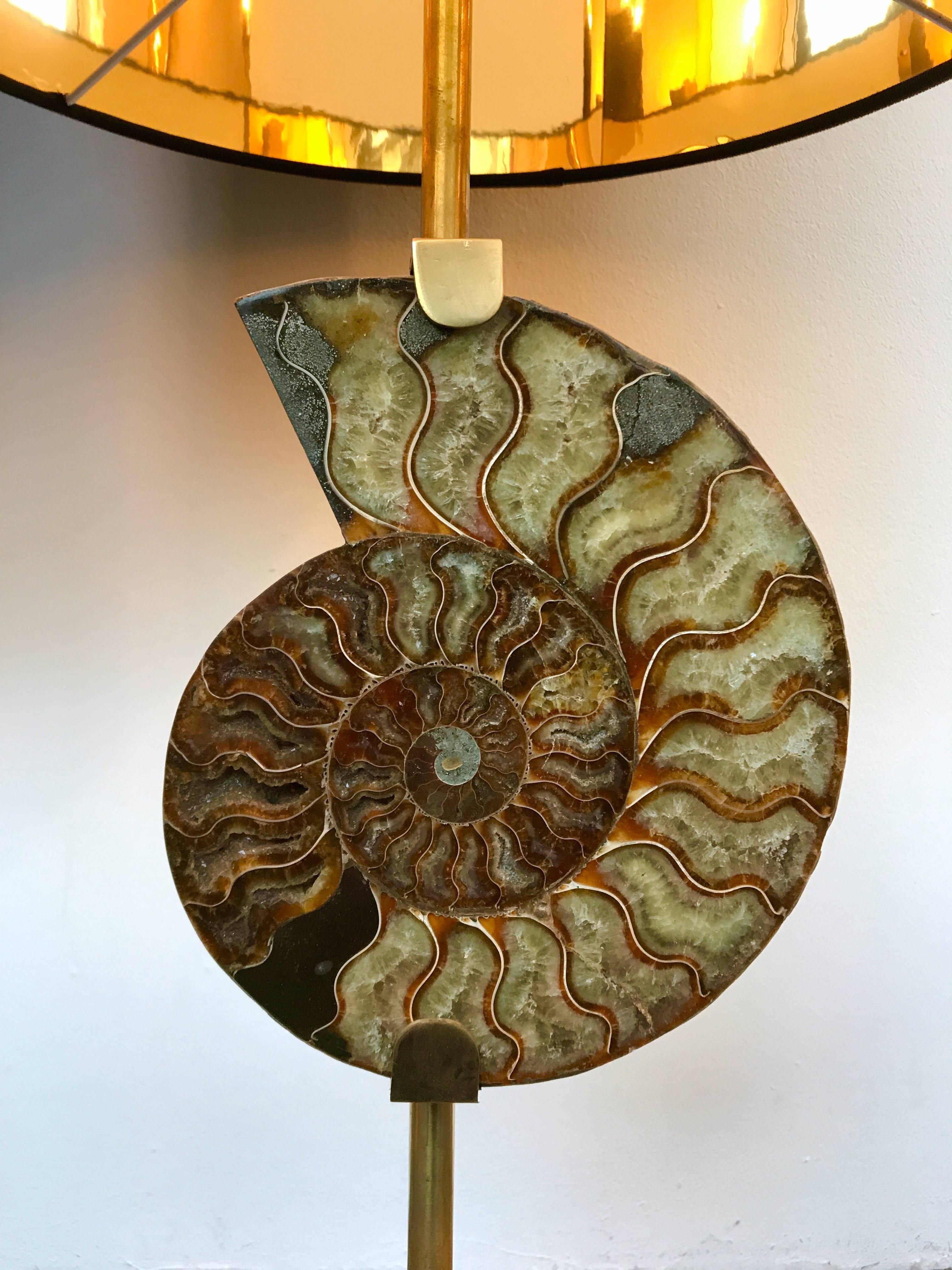 Pair of Lamps Brass Ammonite Fossil, Contemporary, Italy 1